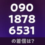 09018786531の着信は？